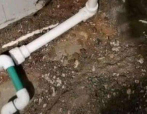 泸水卫生间测漏水服务电话