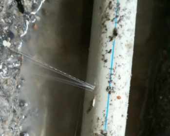 泸水卫生间测漏水多少钱