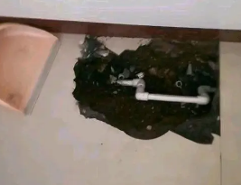 泸水卫生间测漏水多少钱